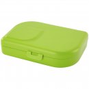 Brotbox mit Trenner lime