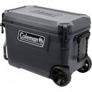 Kühlcontainer Convoy 55 QT