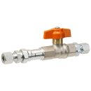 Kugelhahn mit TAE PS 5 bar, bds. RVS12