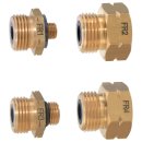 Euro-Set Gas-Entnahmestutzen CH/FR SV