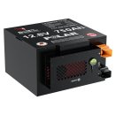 Lithium Batterie Polar Untersitzbatterie 700 Ah